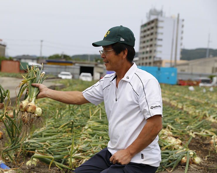 淡路島玉ねぎ　ひょうご安心ブランド認証特別栽培