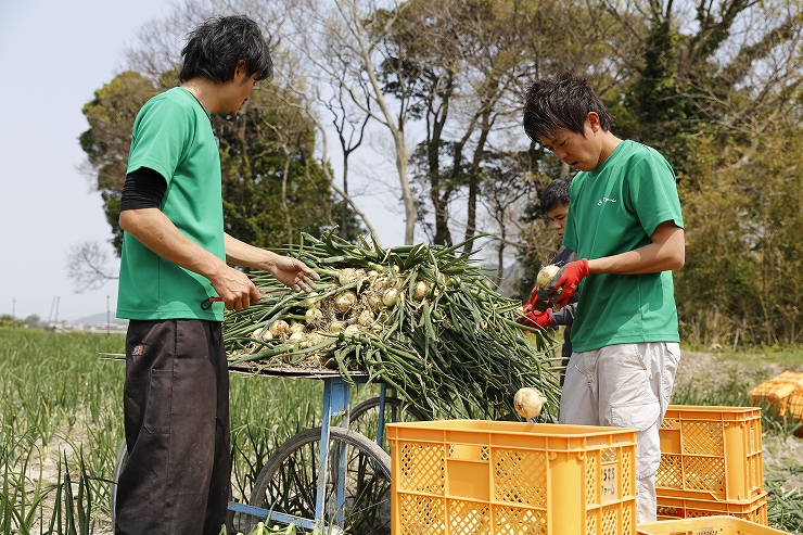 2019年度産淡路島新玉ねぎ 蜜玉（みつたま）３kg/2525ファーム 迫田瞬が有機肥料100％、特別栽培で育てました