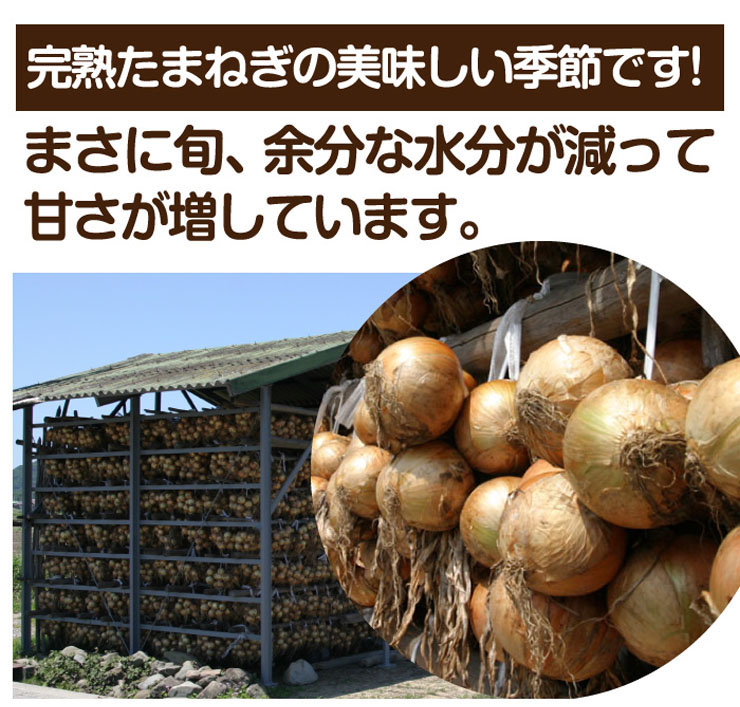 甘くて美味しい！完熟たまねぎ頒布会