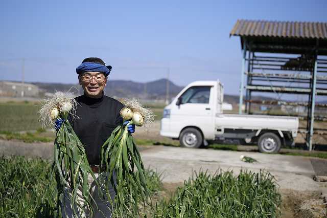 新生活の食卓応援特集