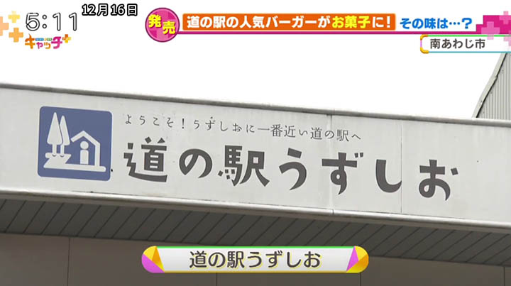 キャッチ＋にて「オニオンチップス（あわじ島オニオンビーフバーガー風味）」が紹介されました！